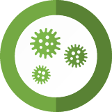 Strive Mold Remediation