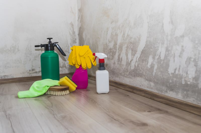 Mold Treatment Service in Boca Raton, FL