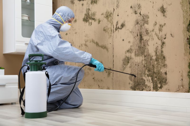 Mold Remediation Service