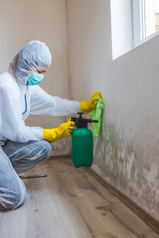 Mold Remediation detail