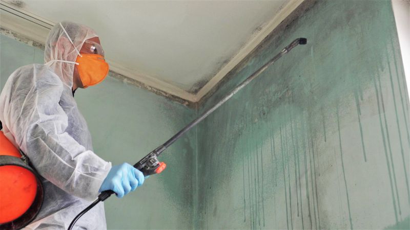 Mold Restoration in West Palm Beach, FL