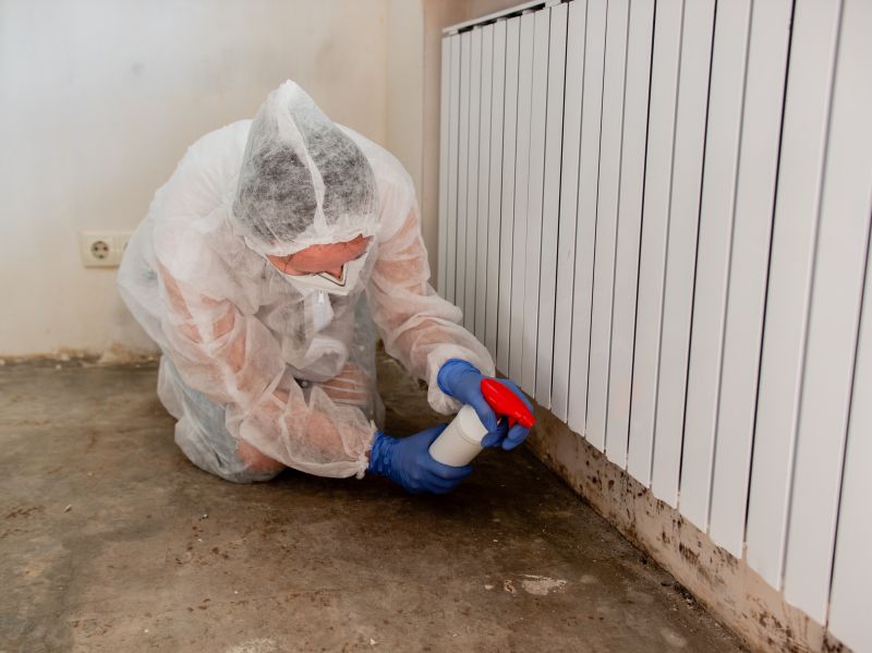 Mold Treatment Service in Jupiter, FL