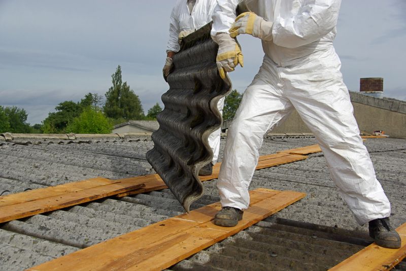 Vermiculite Removal Service in Freehold, NJ